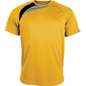 T-shirt de Sport Manches Courtes Unisexe Proact PA436