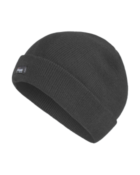 Thinsulate Acrylic Hat Regatta TRC320