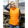 Ladies Ice Bird Padded Gilet Result R193F