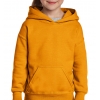 Sweat-Shirt Enfant Capuche Heavy Blend™ Gildan 18500B