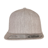 Fitted SnapbackFlexfit 110