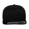 Fitted SnapbackFlexfit 110