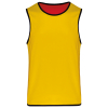 Chasuble de rugby réversible enfant PROACT PA046
