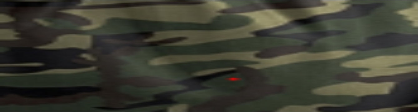 Camouflage