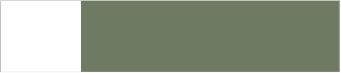 Olive Green/White